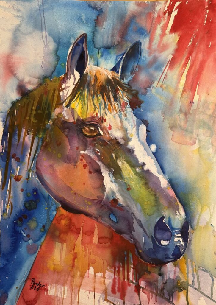 Aquarell 2026 Pferdekopf
